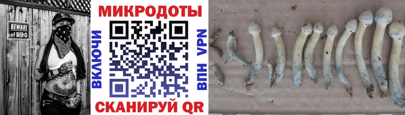 Галлюциногенные грибы MAGIC MUSHROOMS  Купить  Курск 