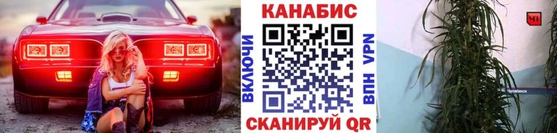 Купить Курск Бошки марихуана семена